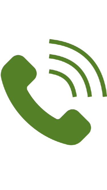 1-removebg-preview (1)