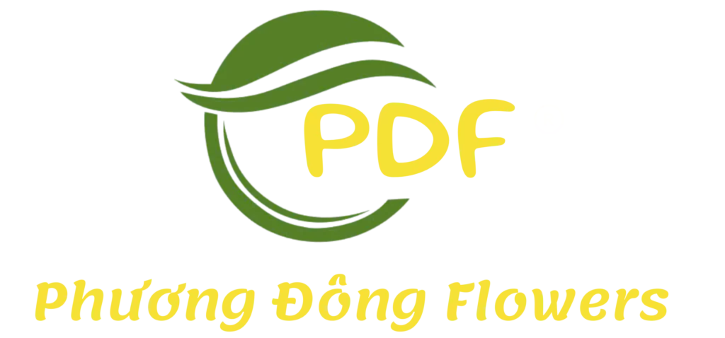 Phương Đông Flowers