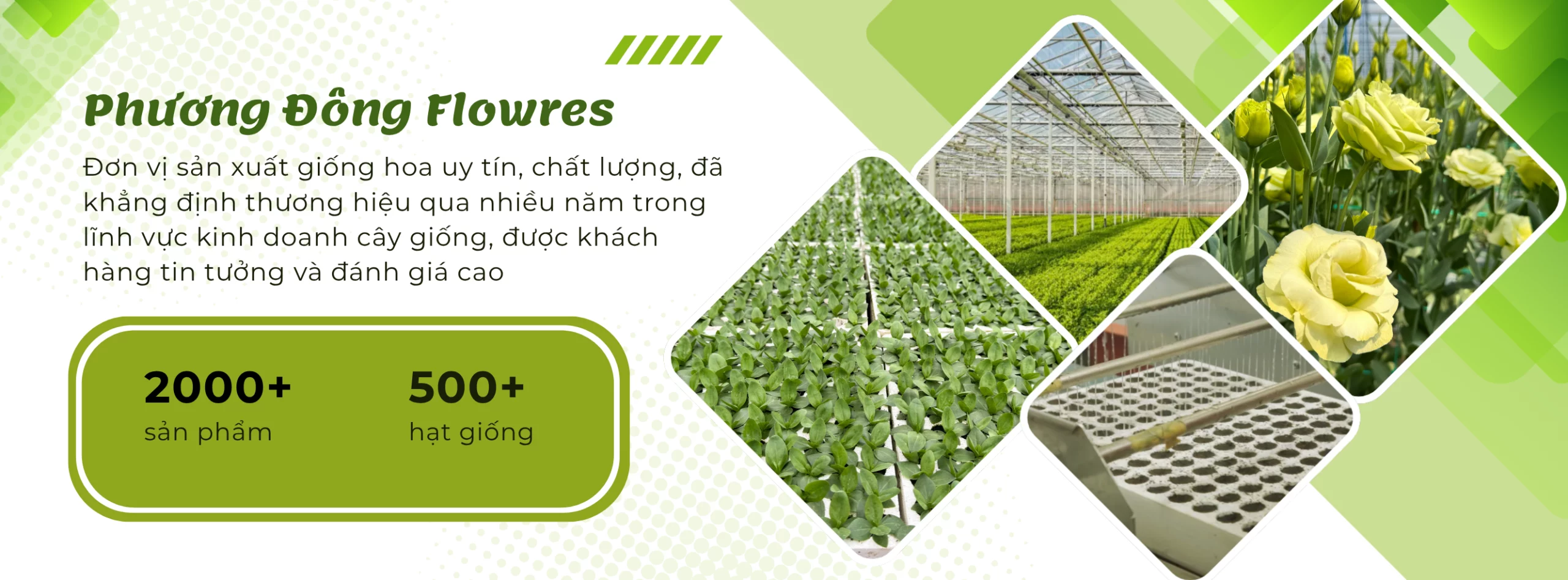 Nền-website-pdf-new-