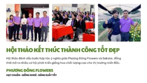 Hoithaohoacatuong (1)