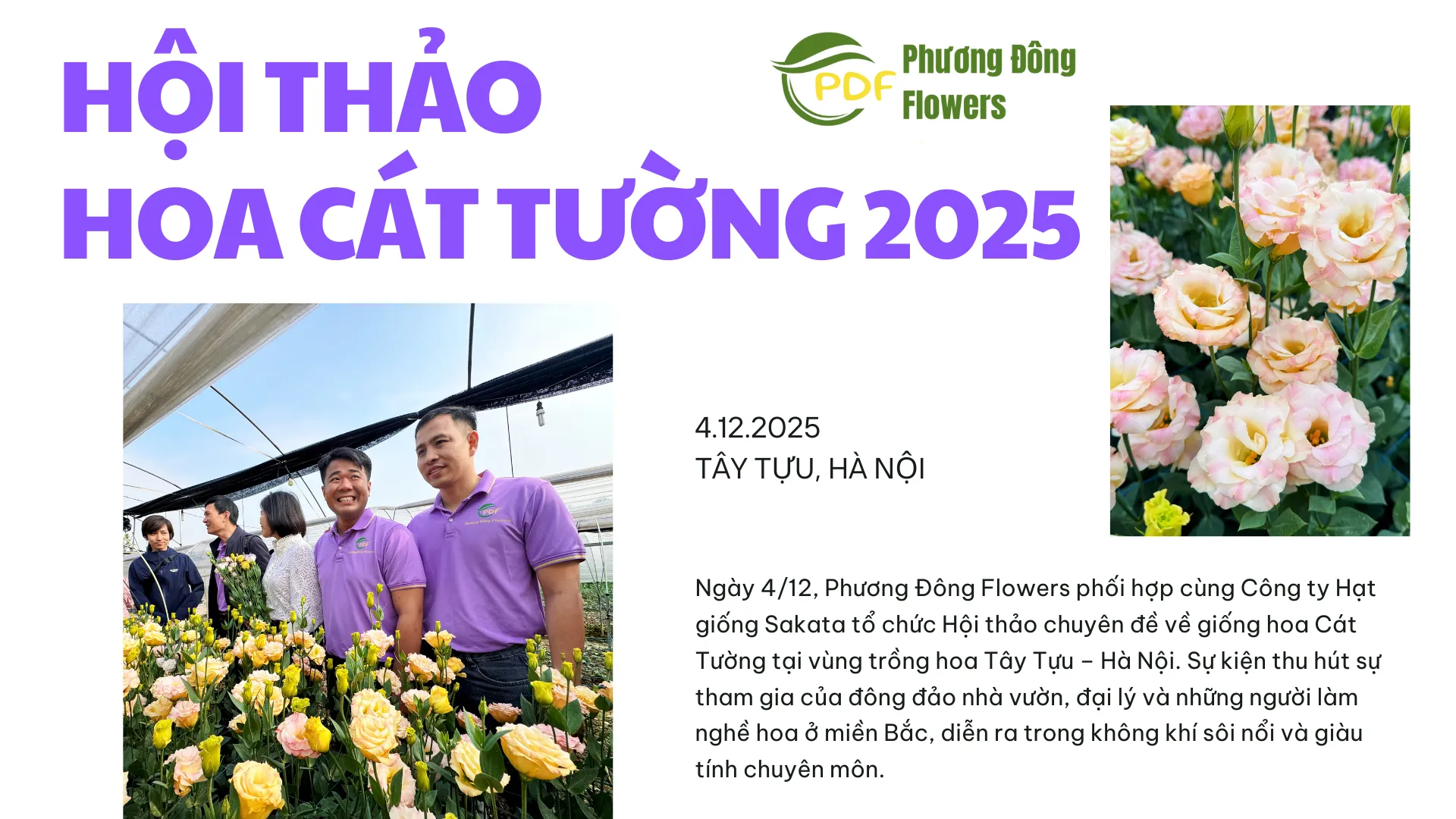 Hoithaohoacatuong (2)