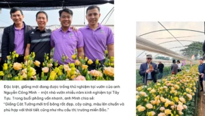 Hoithaohoacatuong (4)